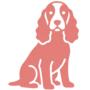 untitled18 20260407175123